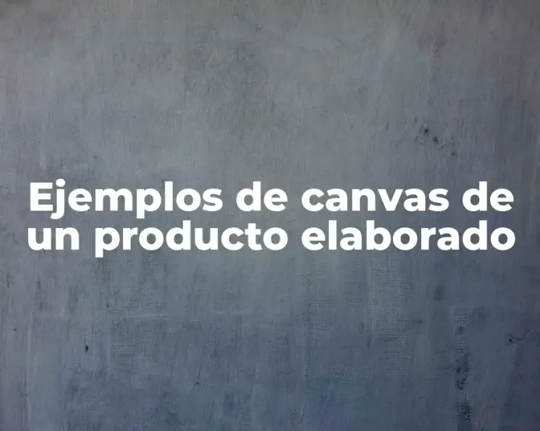 Ejemplos de canvas de un producto elaborado