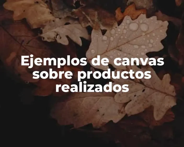Ejemplos de canvas sobre productos realizados