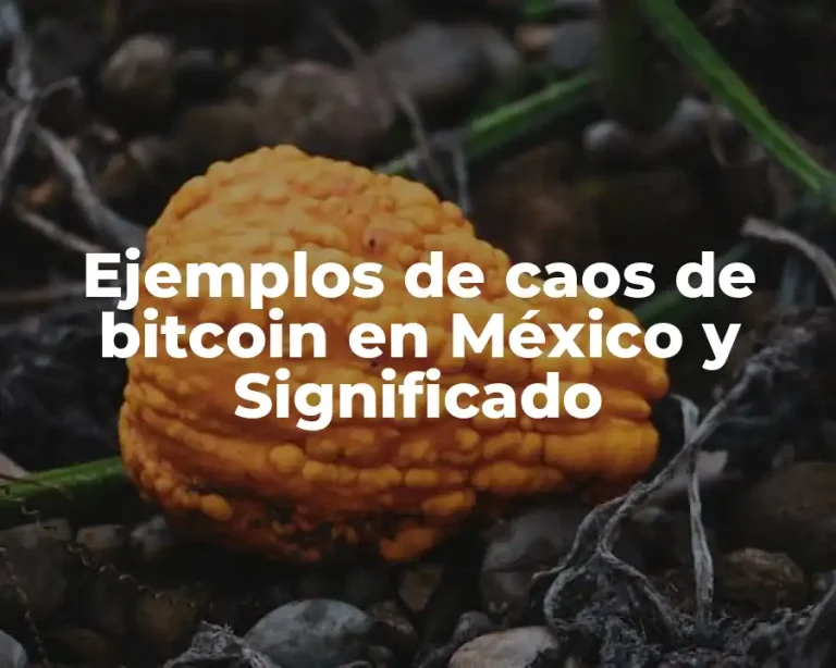 Ejemplos de caos de bitcoin en México y Significado