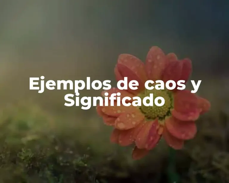 Ejemplos de caos y Significado