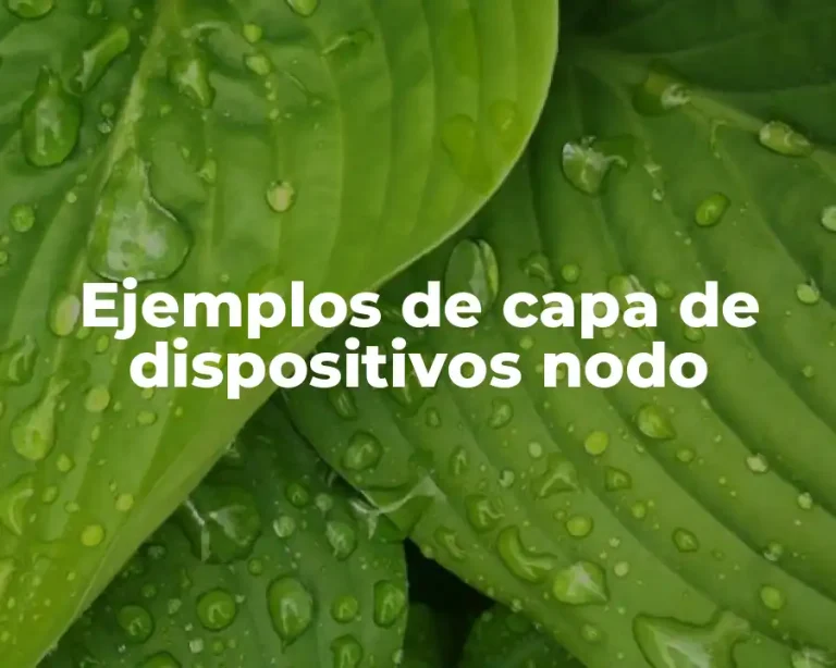 Ejemplos de capa de dispositivos nodo