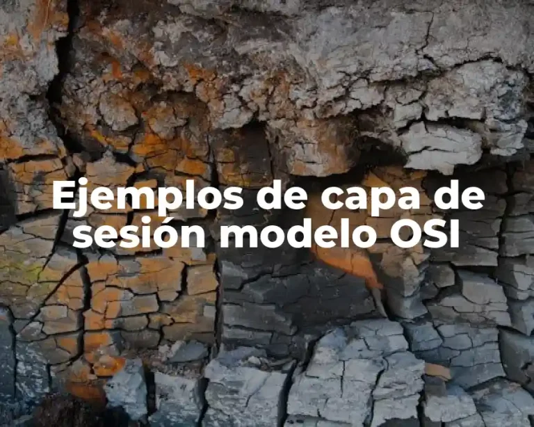 Ejemplos de capa de sesión modelo OSI