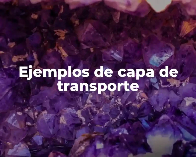 Ejemplos de capa de transporte