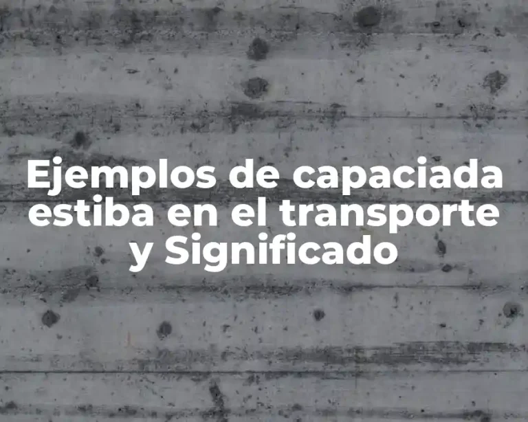 Ejemplos de capaciada estiba en el transporte y Significado