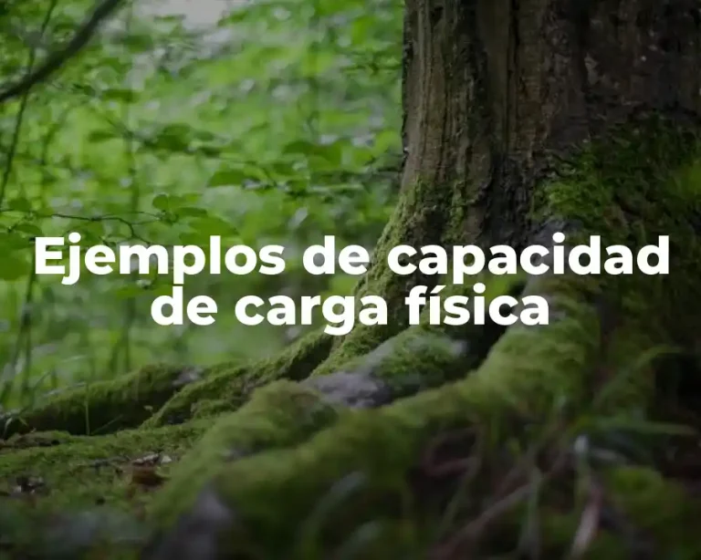 Ejemplos de capacidad de carga física