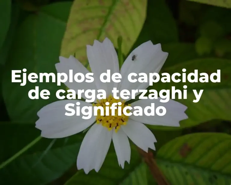 Ejemplos de capacidad de carga terzaghi y Significado