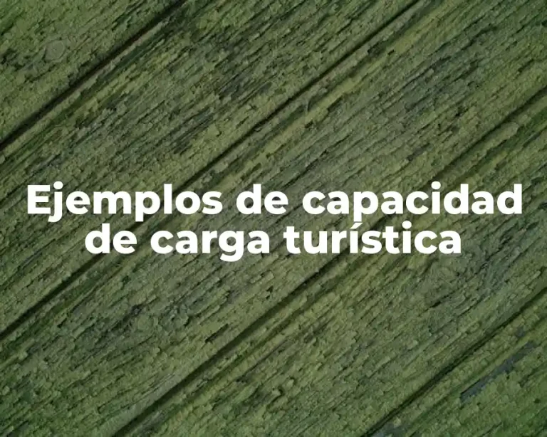 Ejemplos de capacidad de carga turística