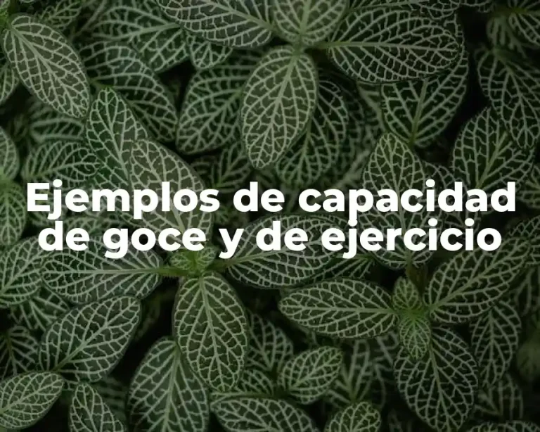 Ejemplos de capacidad de goce y de ejercicio