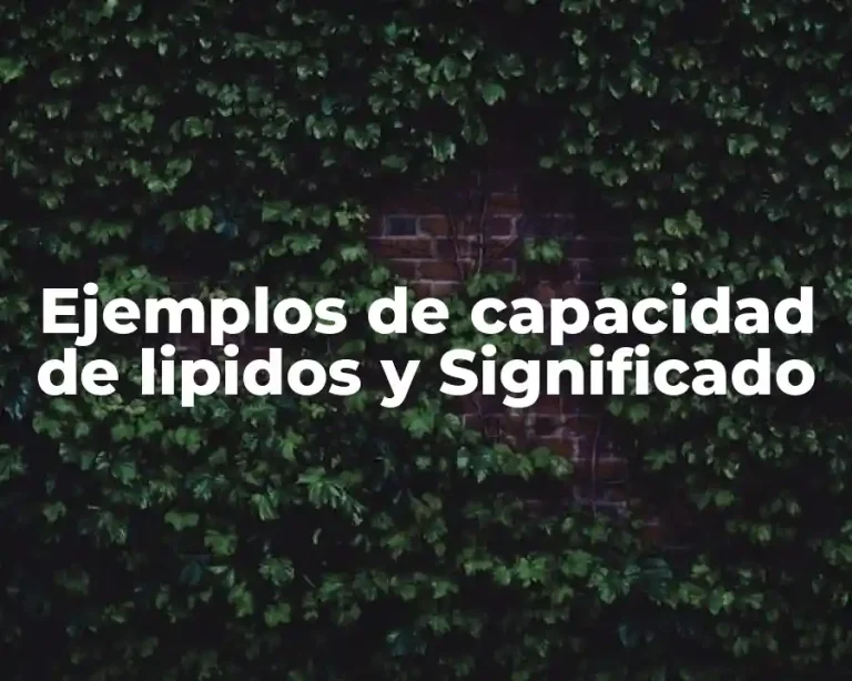 Ejemplos de capacidad de lipidos y Significado