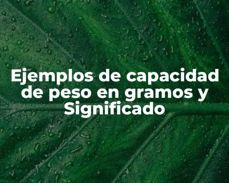 Ejemplos de capacidad de peso en gramos y Significado