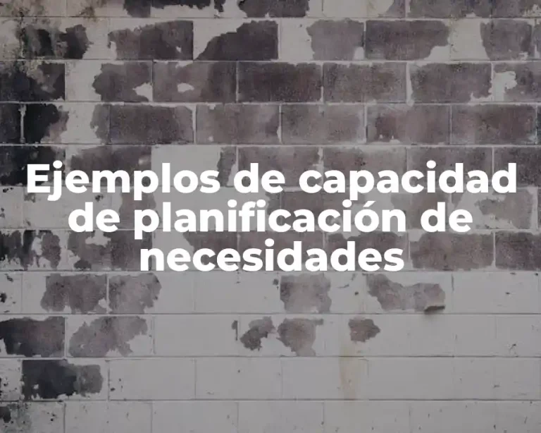Ejemplos de capacidad de planificación de necesidades