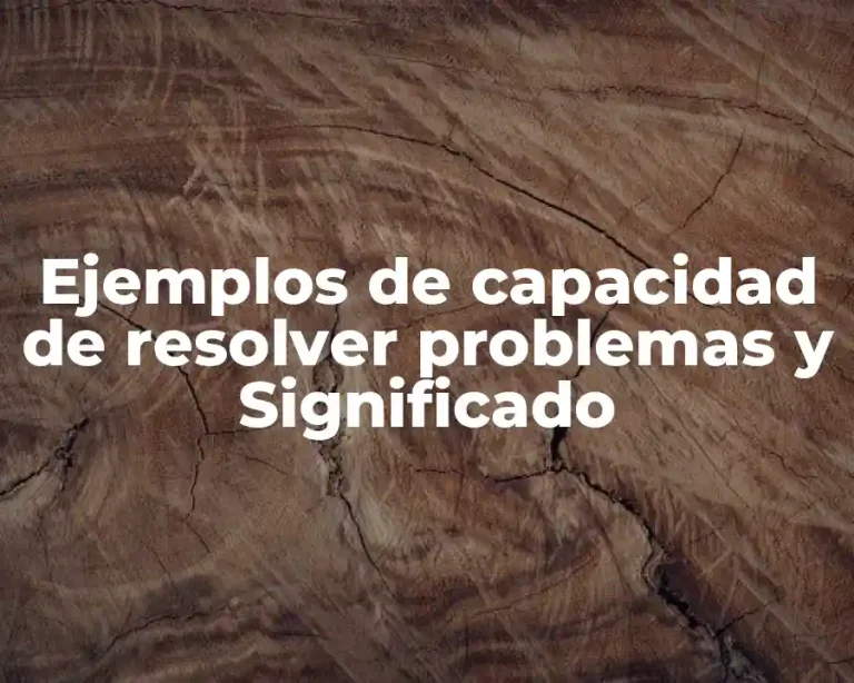 Ejemplos de capacidad de resolver problemas y Significado