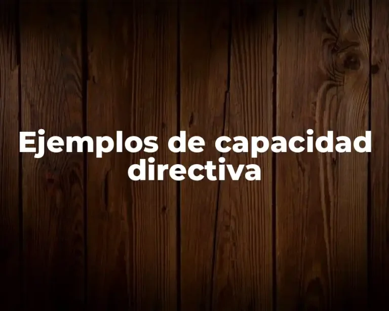 Ejemplos de capacidad directiva