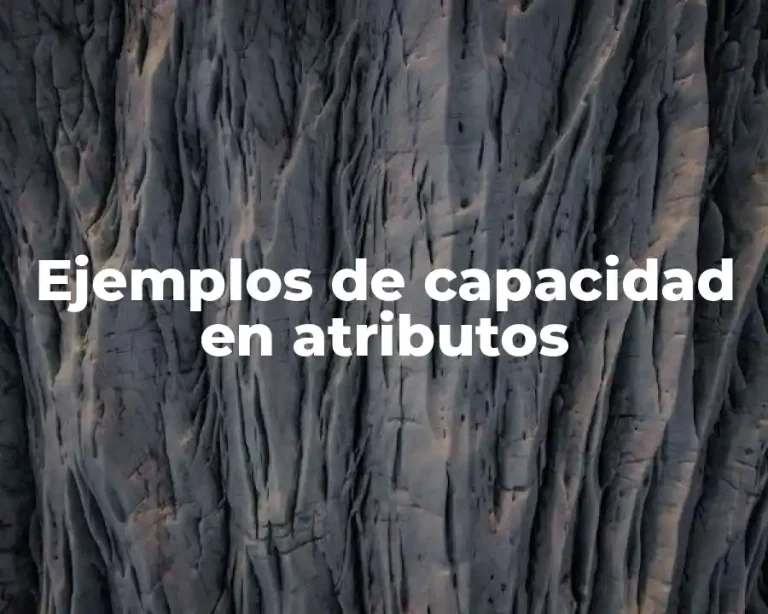 Ejemplos de capacidad en atributos