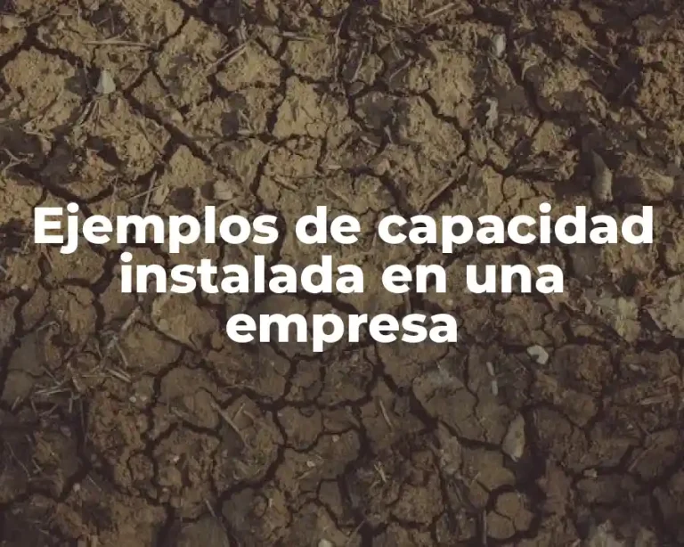 Ejemplos de capacidad instalada en una empresa