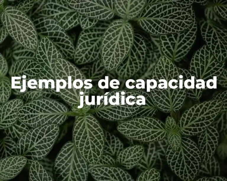 Ejemplos de capacidad jurídica