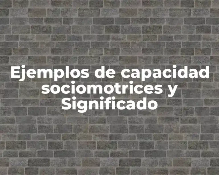 Ejemplos de capacidad sociomotrices y Significado