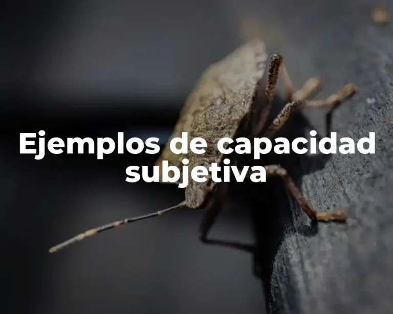 Ejemplos de capacidad subjetiva