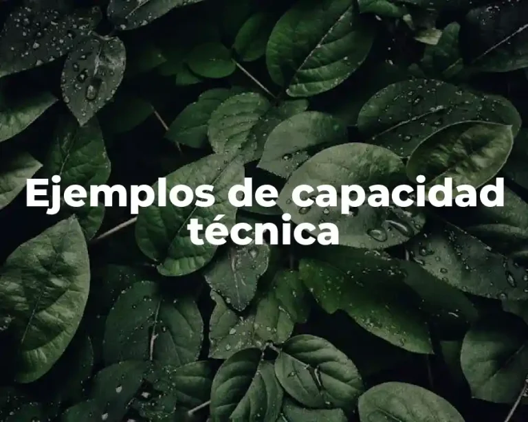 Ejemplos de capacidad técnica