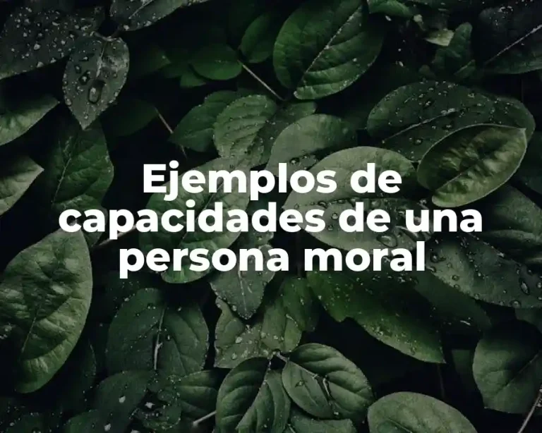 Ejemplos de capacidades de una persona moral