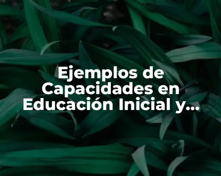 Ejemplos de Capacidades en Educación Inicial y Significado