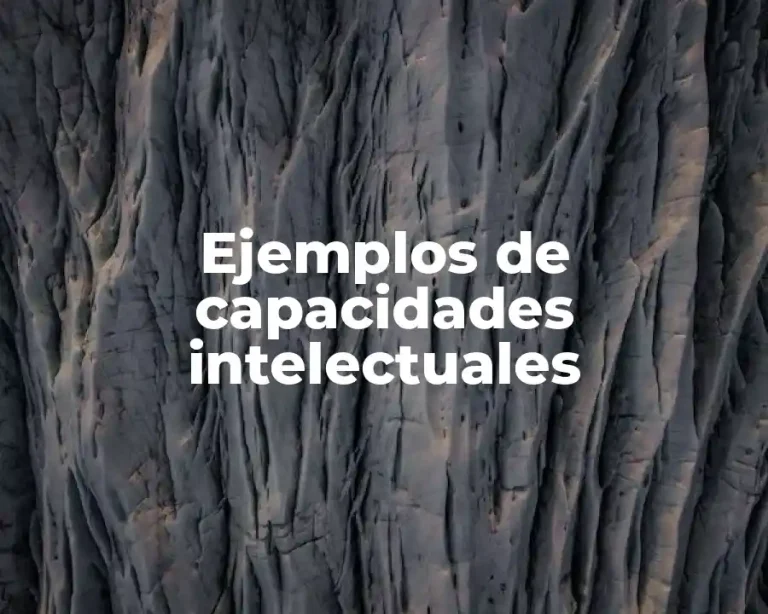 Ejemplos de capacidades intelectuales