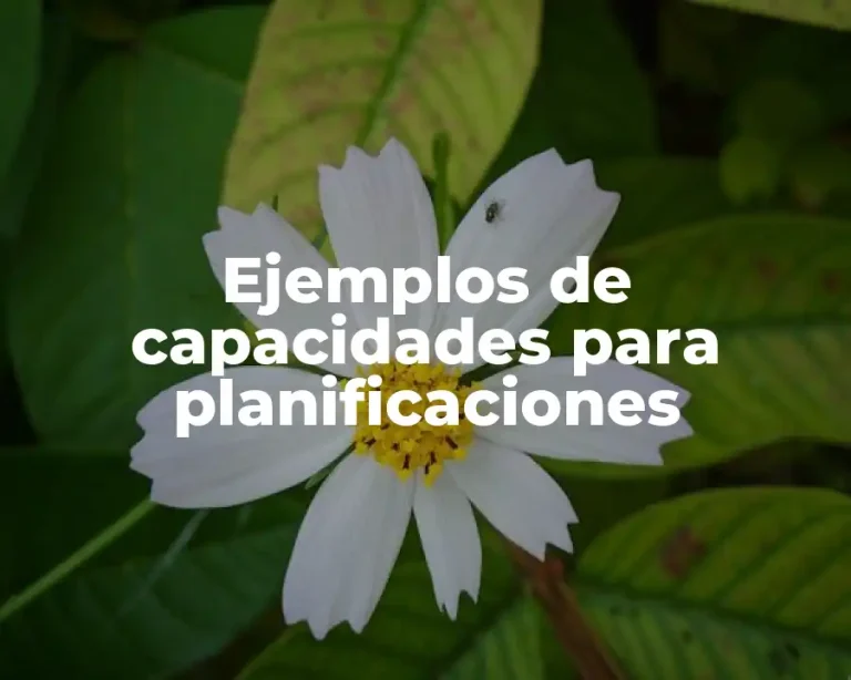 Ejemplos de capacidades para planificaciones