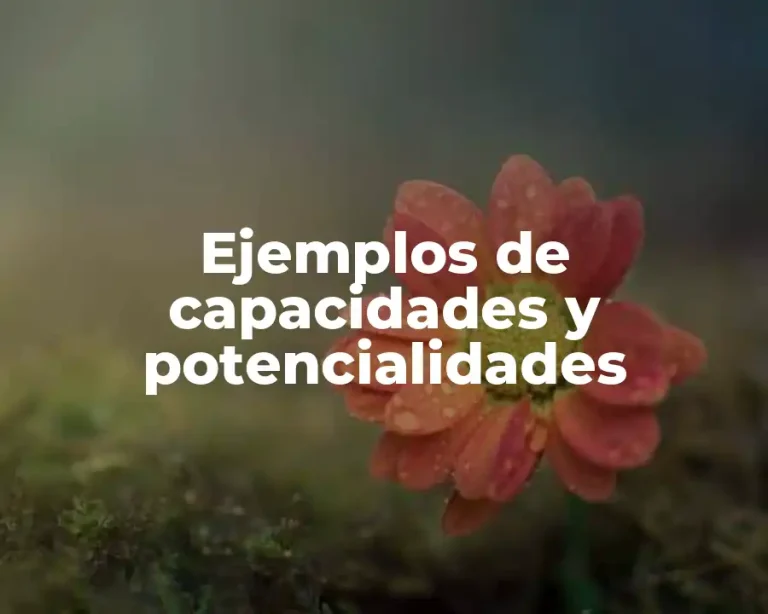 Ejemplos de capacidades y potencialidades