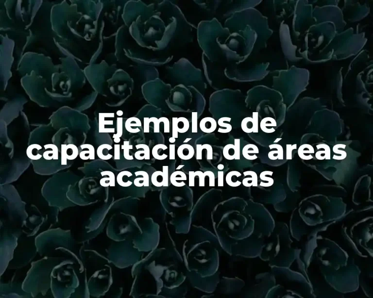 Ejemplos de capacitación de áreas académicas