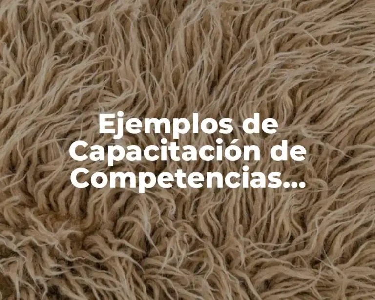 Ejemplos de Capacitación de Competencias Transversales