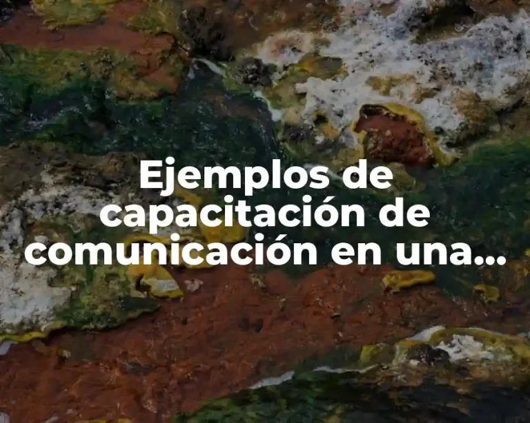 Ejemplos de capacitación de comunicación en una empresa