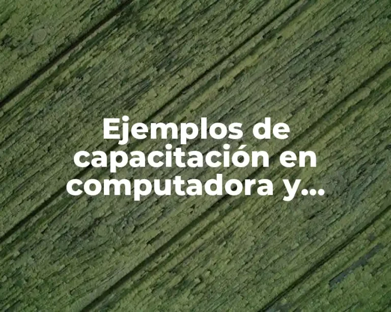Ejemplos de capacitación en computadora y Significado