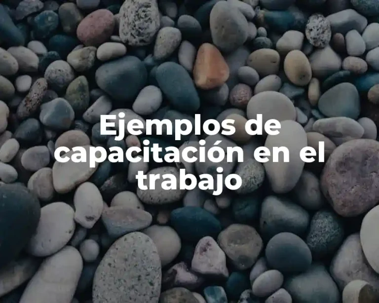 Ejemplos de capacitación en el trabajo