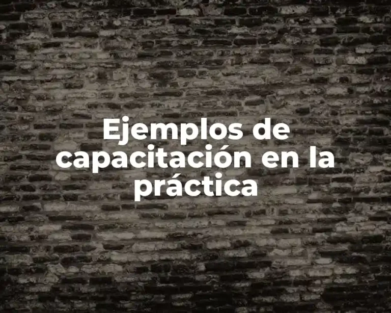 Ejemplos de capacitación en la práctica