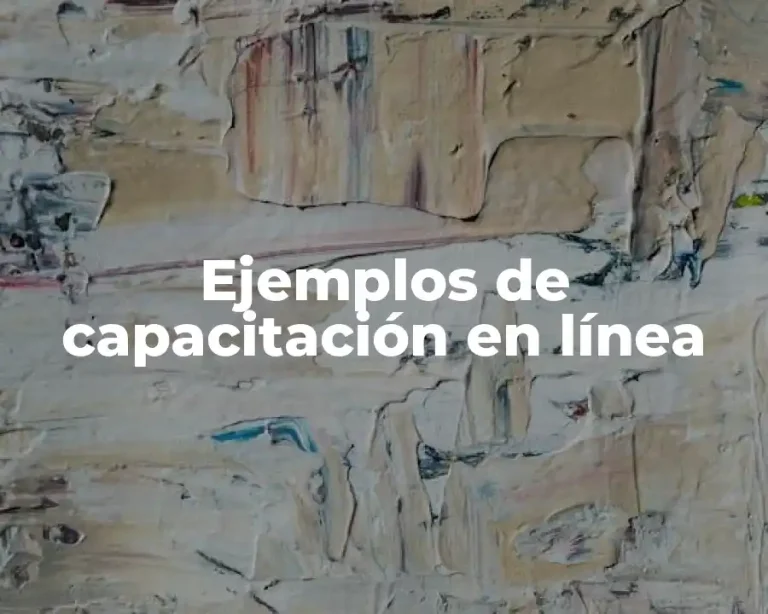 Ejemplos de capacitación en línea