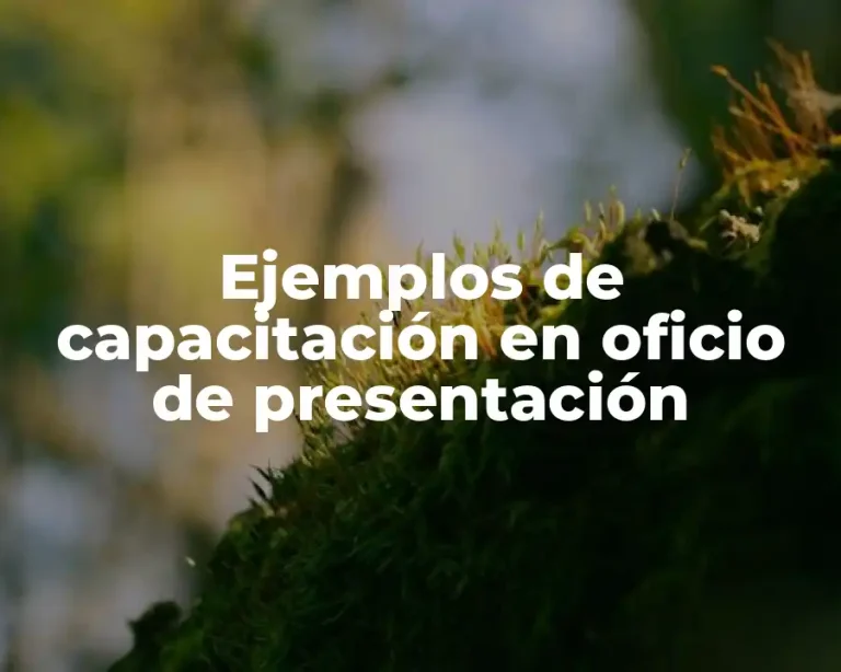 Ejemplos de capacitación en oficio de presentación