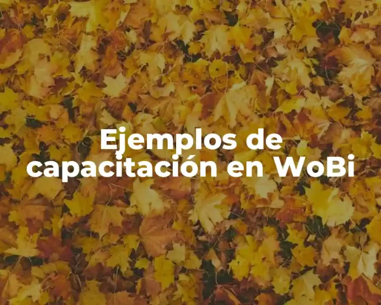 Ejemplos de capacitación en WoBi