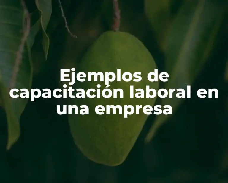 Ejemplos de capacitación laboral en una empresa