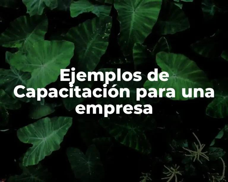 Ejemplos de Capacitación para una empresa