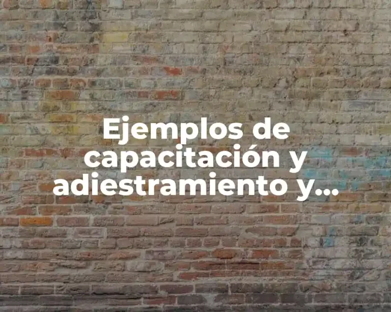 Ejemplos de capacitación y adiestramiento y Significado