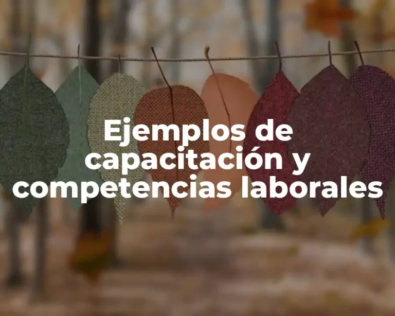 Ejemplos de capacitación y competencias laborales