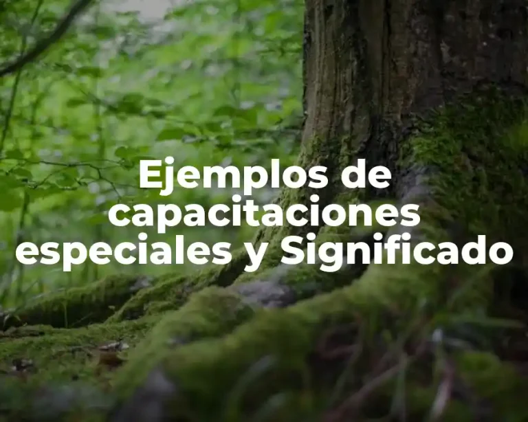 Ejemplos de capacitaciones especiales y Significado