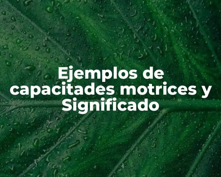 Ejemplos de capacitades motrices y Significado