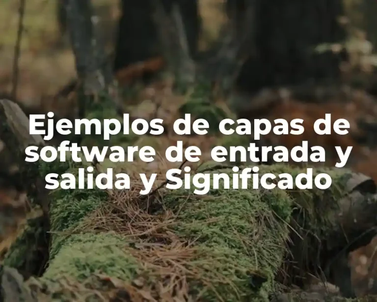 Ejemplos de capas de software de entrada y salida y Significado