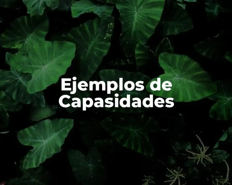 Ejemplos de Capasidades