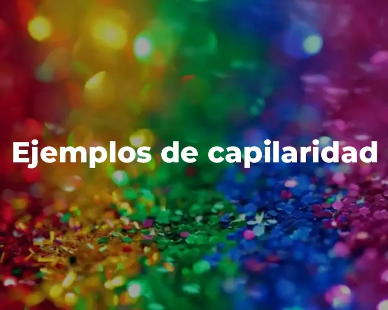 Ejemplos de capilaridad