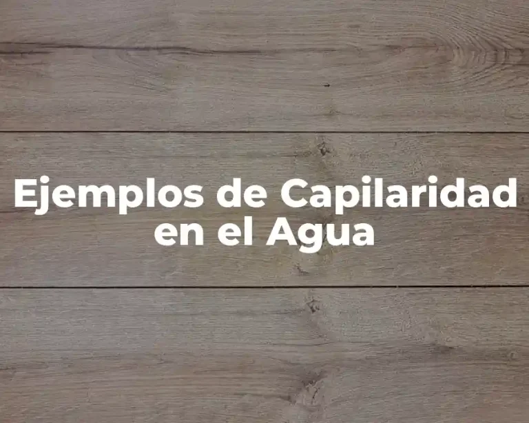 Ejemplos de Capilaridad en el Agua