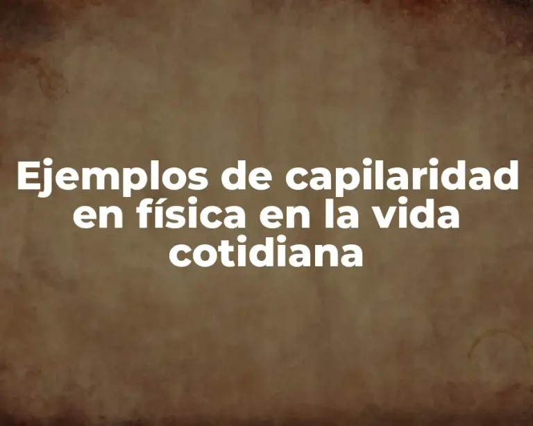 Ejemplos de capilaridad en física en la vida cotidiana