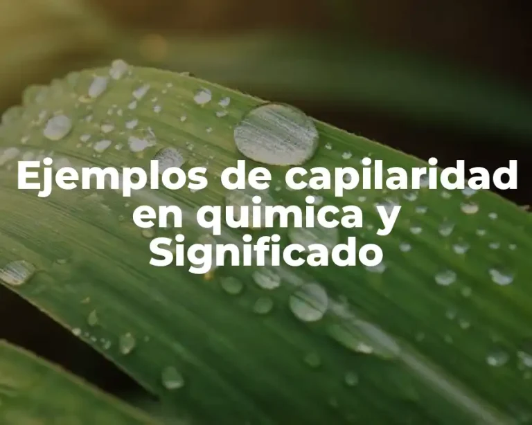 Ejemplos de capilaridad en quimica y Significado