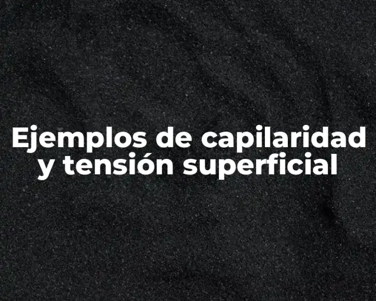 Ejemplos de capilaridad y tensión superficial